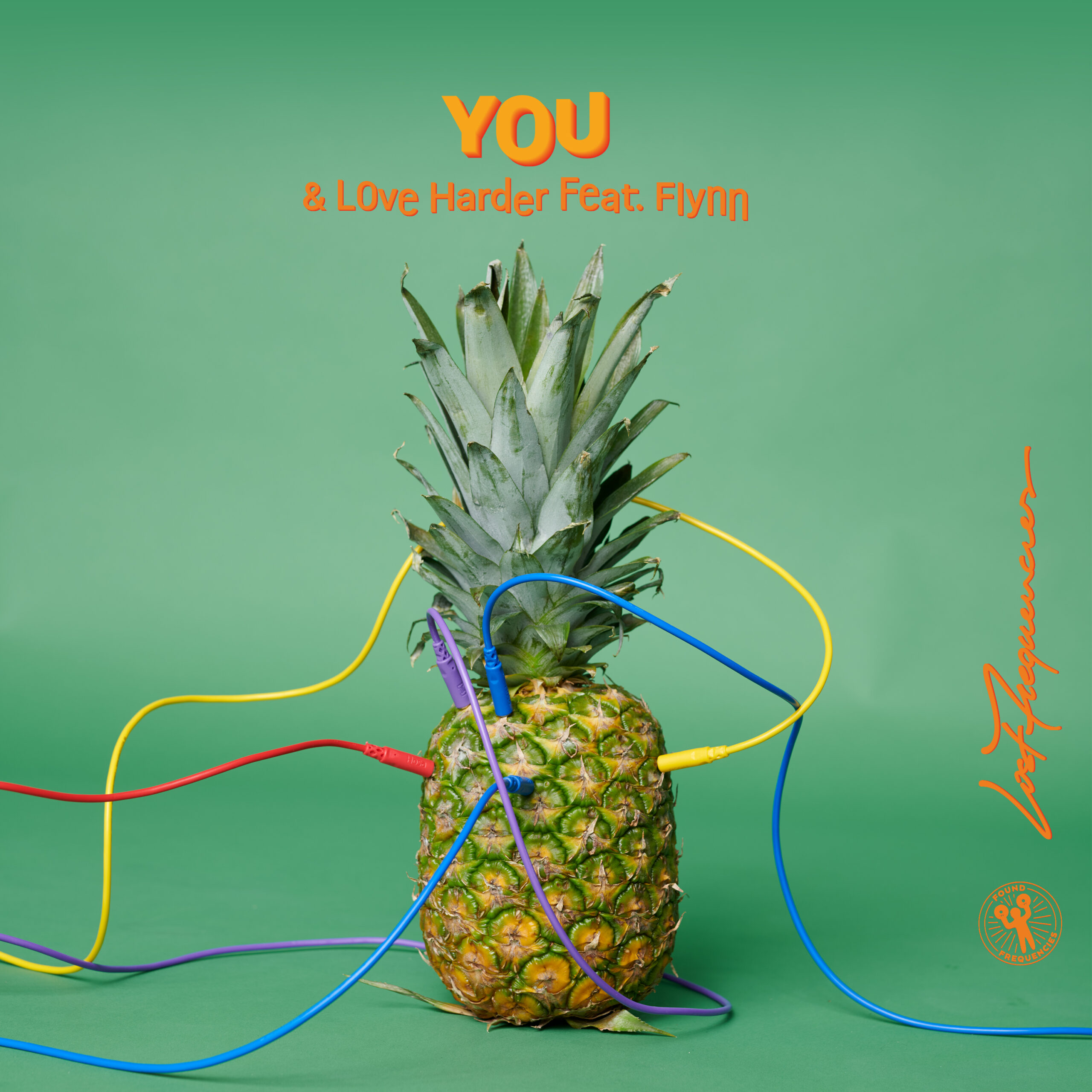 Lost Frequencies & Love Harder feat. Flynn - You