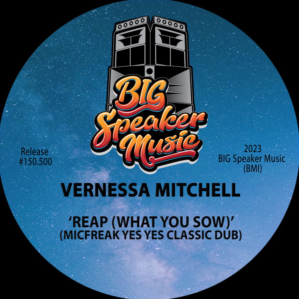Read more about the article Vernessa Mitchell – Reap (What You Sow) (MicFreak Remix)