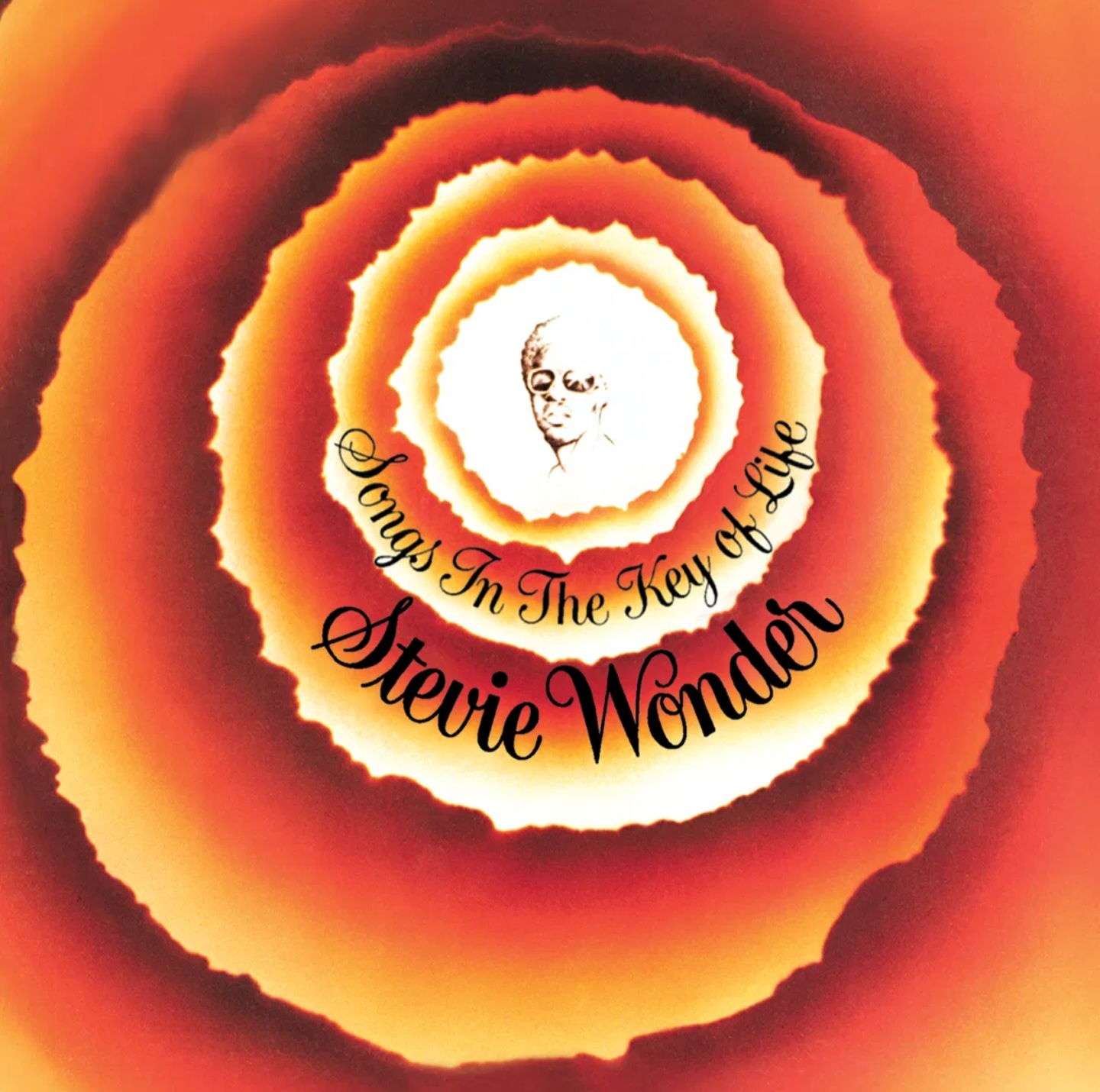 Read more about the article Village Ghetto Land Stevie Wonder