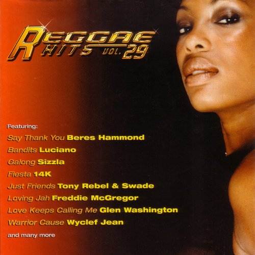 Reggae Hits Vol 29