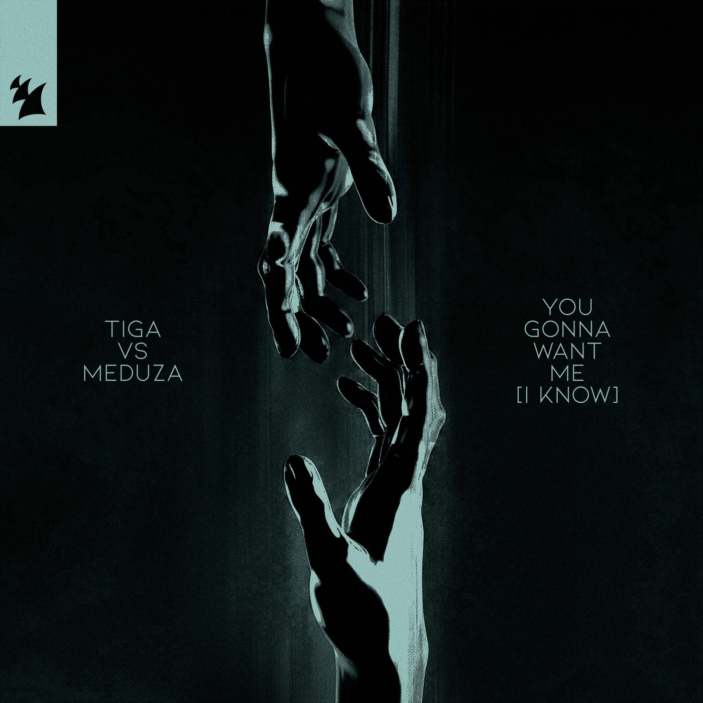 tiga vs Meduza you gonna want me