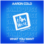 What You Want (Original Mix)