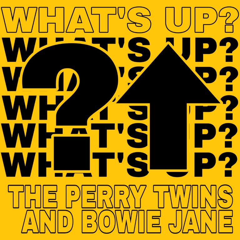 Perry Twins What's Up