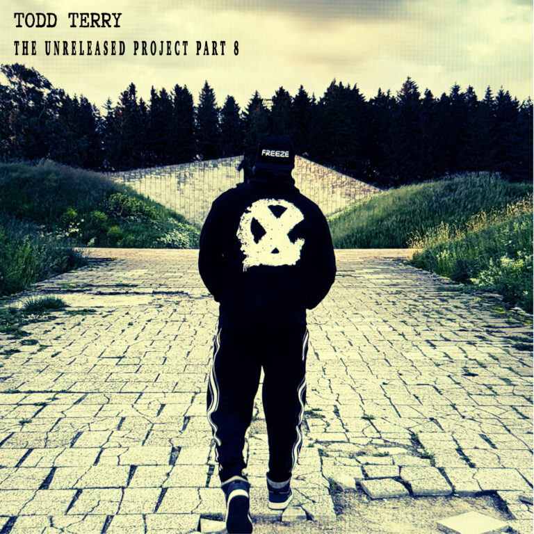 Todd Terry No One Like You (Extended Mix)