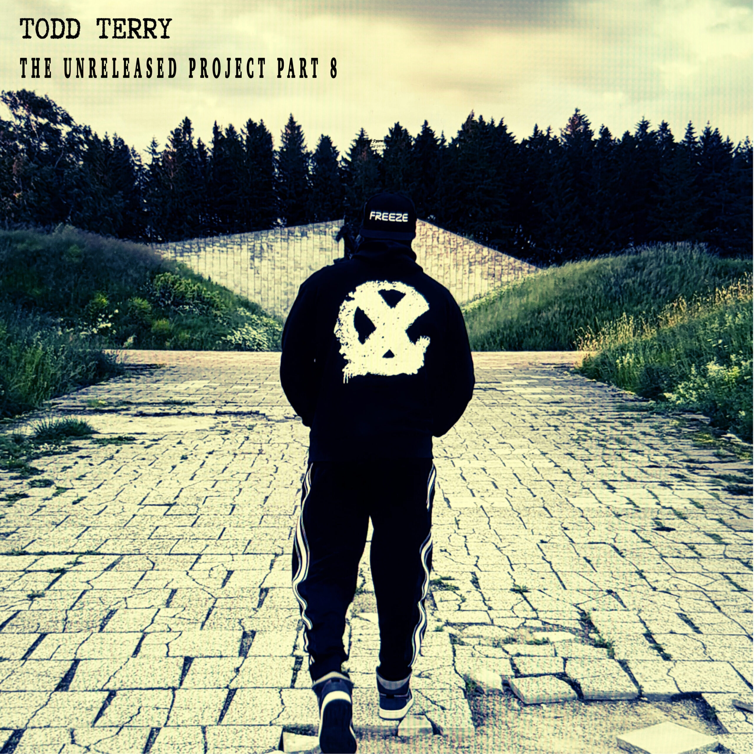 Read more about the article No One Like You (Extended Mix) Todd Terry feat. Lyn Jada