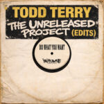 Do What You Want (Extended Mix) Todd Terry