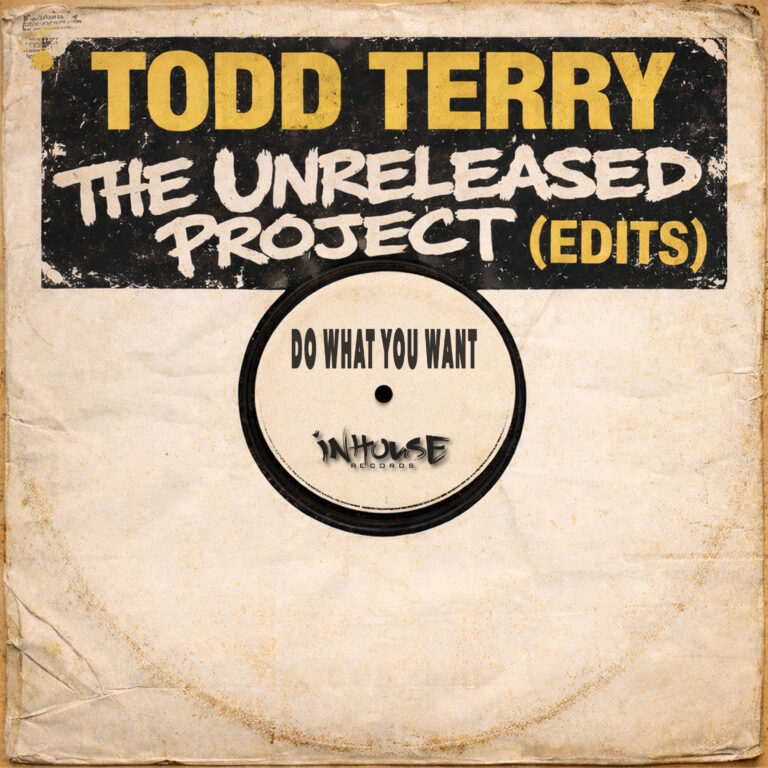 Todd Terry Do what You Want INHR897