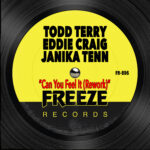 Can You Feel It (Radio Edit) Todd Terry, Eddie Craig, Janika Tenn