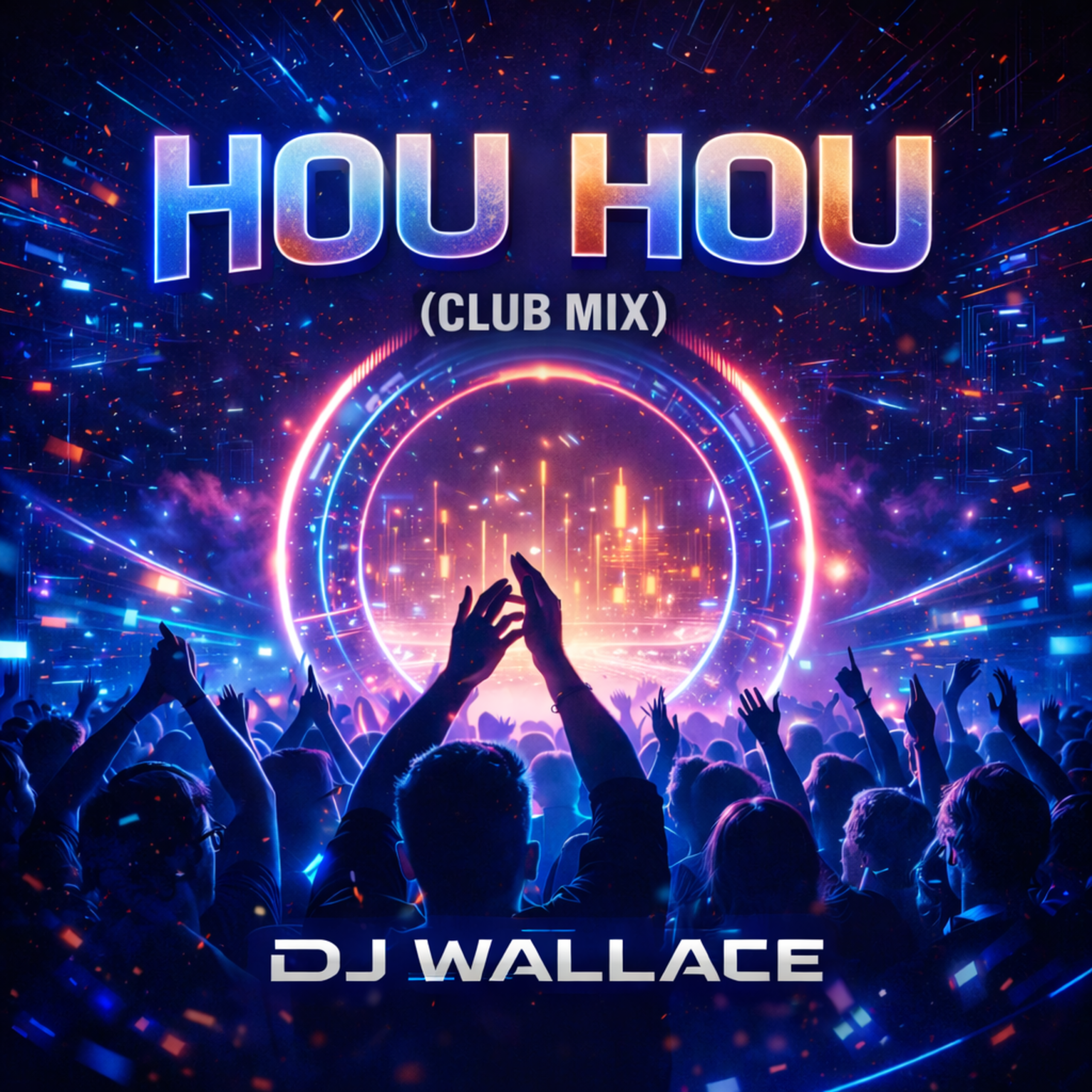 Read more about the article Hou Hou (Radio Edit) DJ Wallace