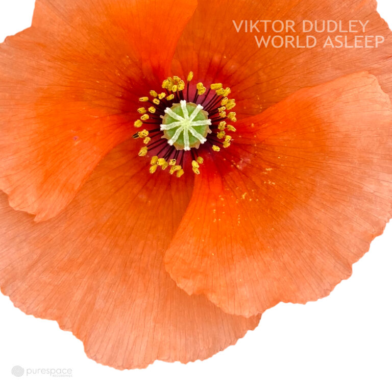 PSRD07301 - Viktor Dudley - World Asleep