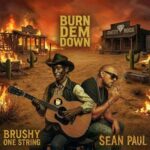 Burn Dem Down (Radio Edit) Sean Paul f. Brushy One String