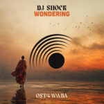 Wondering (Original mix) Dj Shock