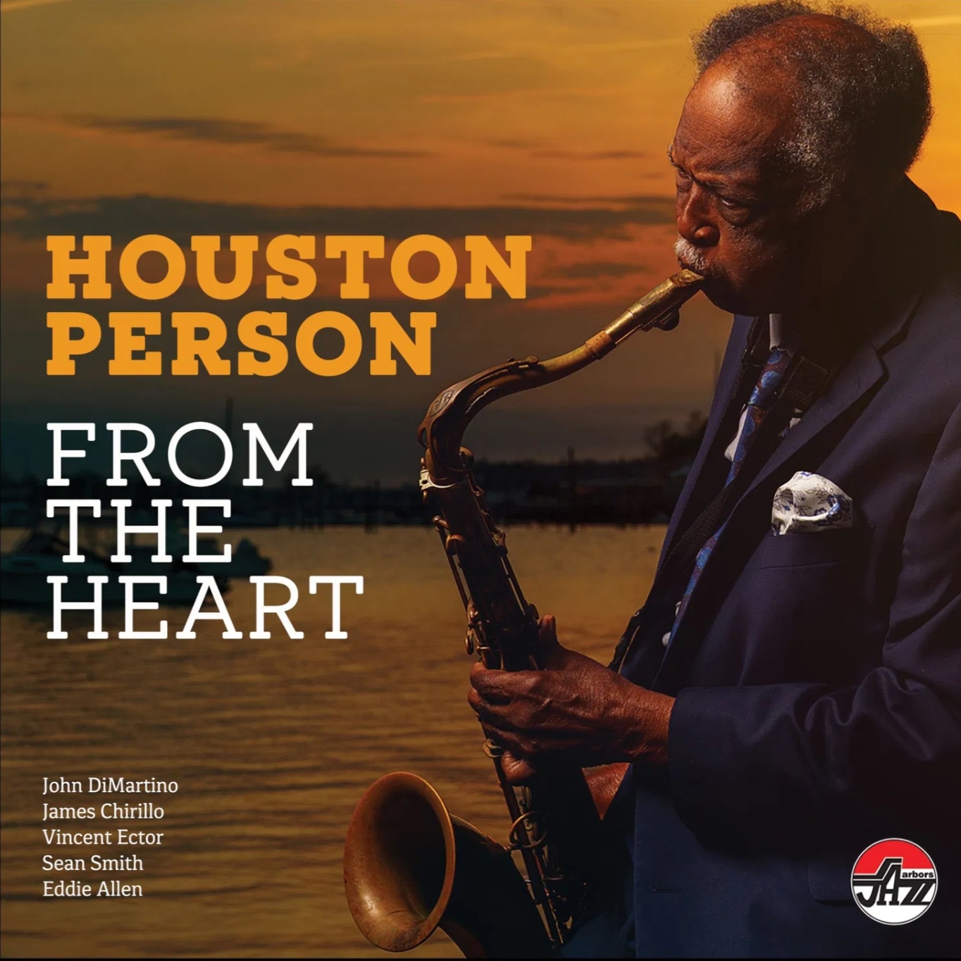 Read more about the article Stranger On The Shore Houston Person