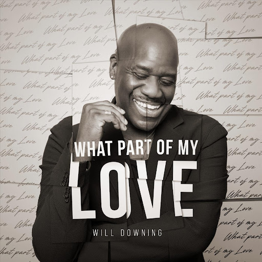 Will Downing - What Part Of My Love (Radio Edit)